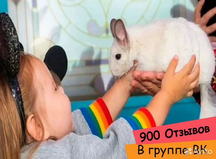 Аниматор и Иллюзион шоу в Красноярске