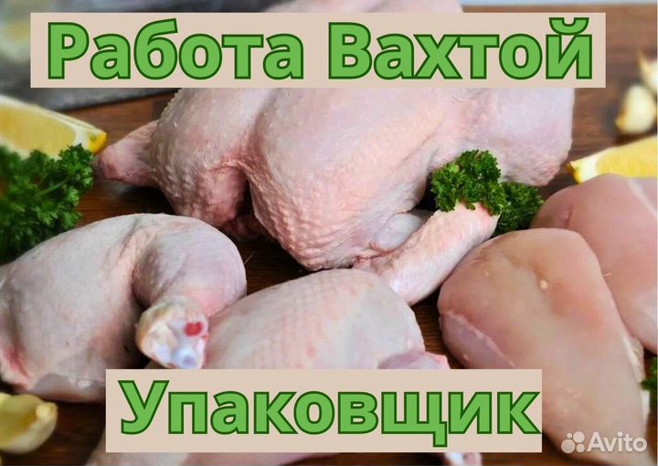 Работа вахтой упаковщик со всеми условиями