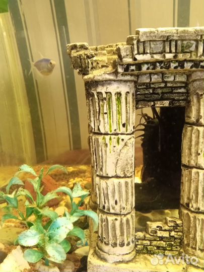 Аквариум с рыбками