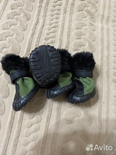 Обувь для собак мелких пород