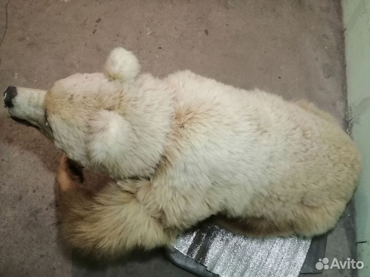 Чучело медведя, имитация животного