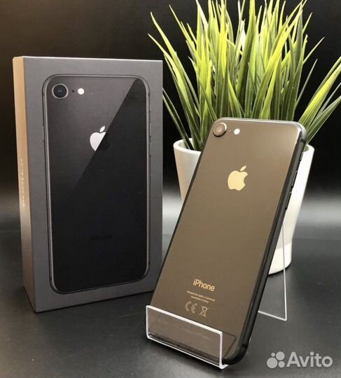 iPhone 8, 64 ГБ