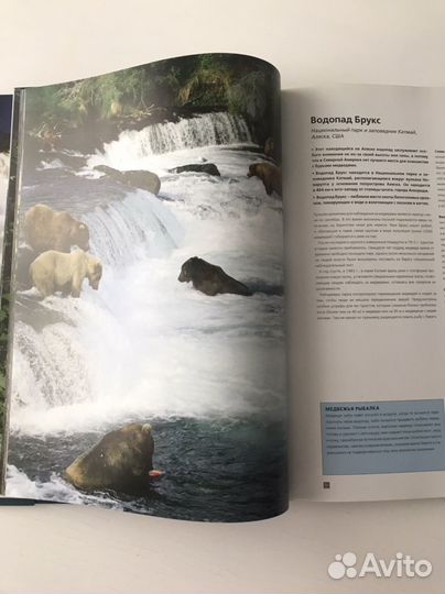 Подарочная книга