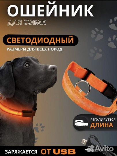 Ошейник для собак светящийся