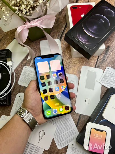 iPhone 12 Pro Max, 256 ГБ
