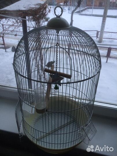 Клетка для попугая, канарейки