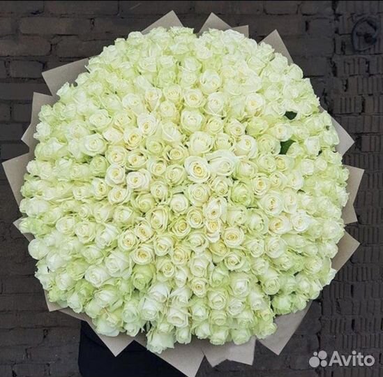 301 роза. Букет из роз гиганты. Доставка до двери