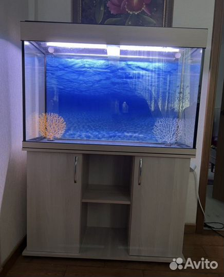 Аквариумы для рыб и черепах