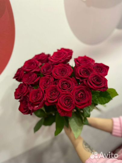 Роза красная