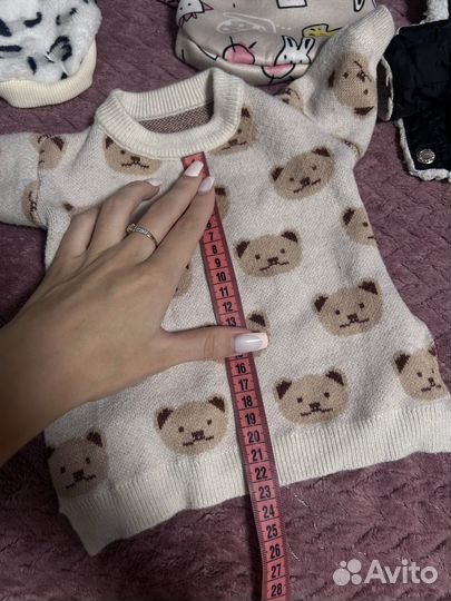 Одежда для собак