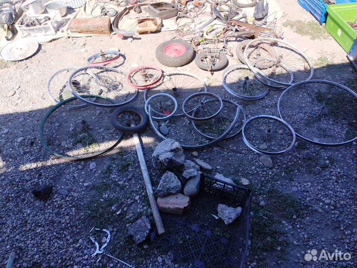 Клык рыхлитель