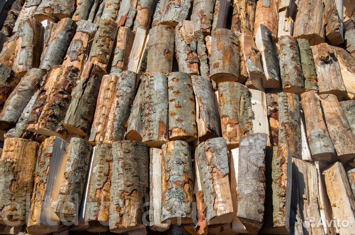 Дрова осиновые