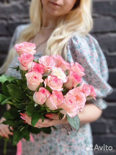 101 Роза/51 Роза/31 Роза/21Роза/15 Роз