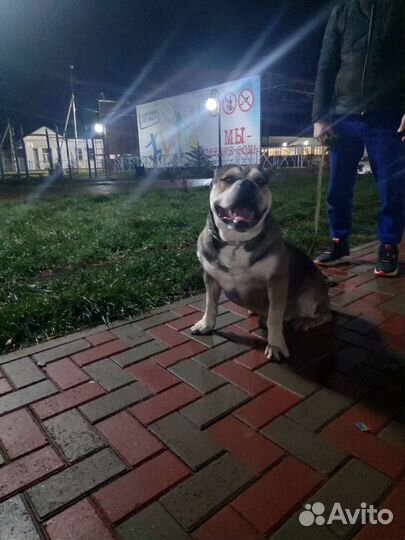 Кадебо вязка