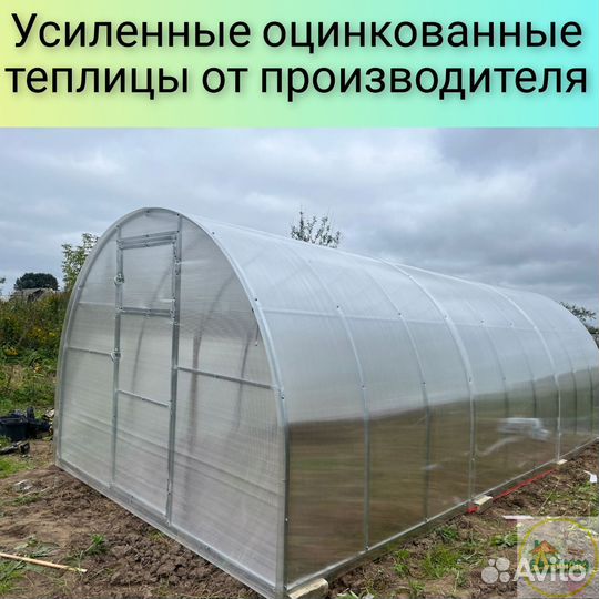 Теплица