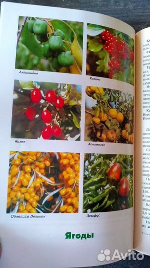 Книги по садоводству