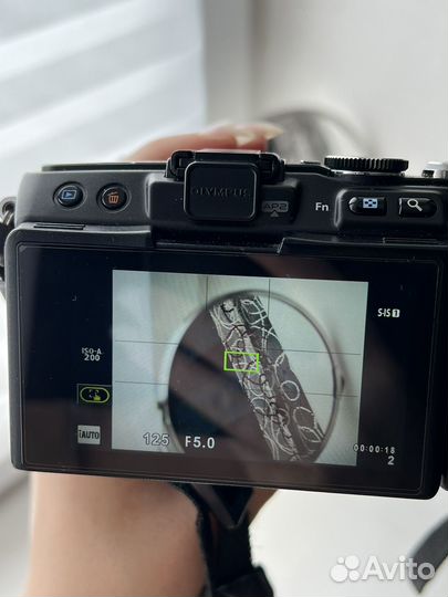 Olympus pen lite e pl5