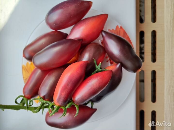 Продам семена томатов