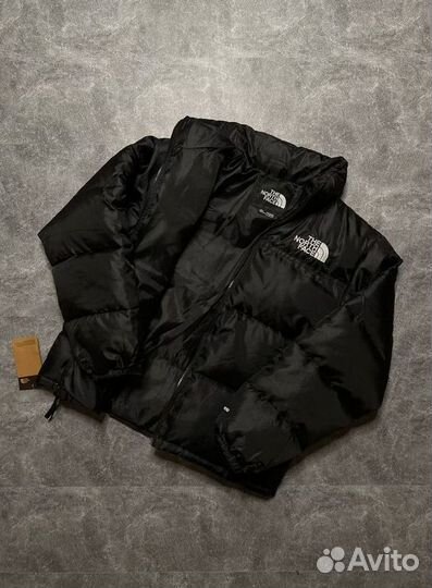 Куртка The North Face 700 весенняя