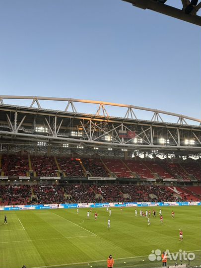 Спартак динамо