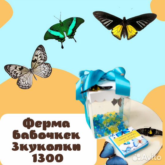 Ферма для выращивания бабочек
