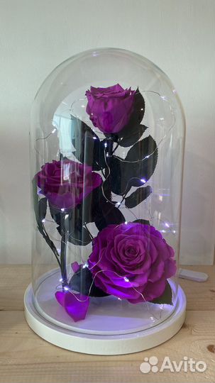 Роза в колбе в наличии от производителя