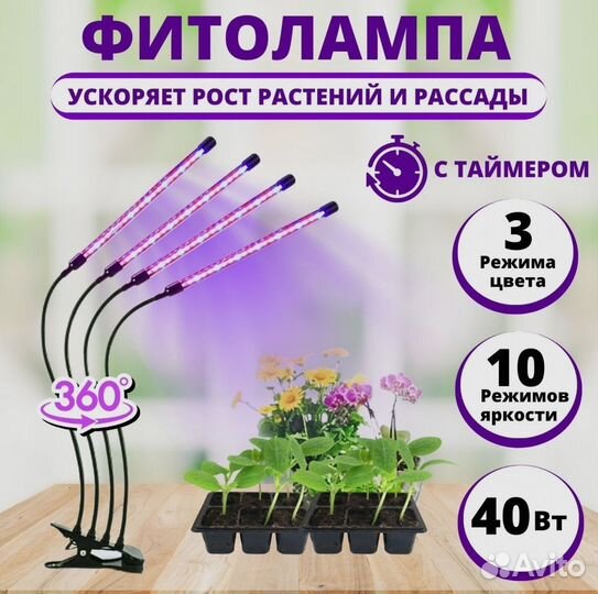 Фитолампа (для растений)