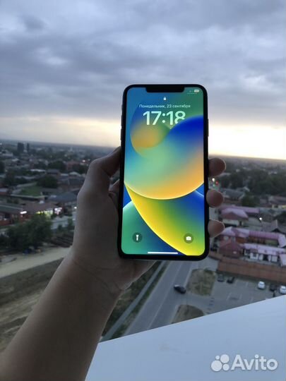 iPhone Xs Max, 64 ГБ