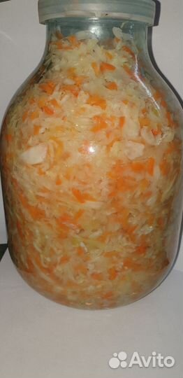 Капуста квашенная