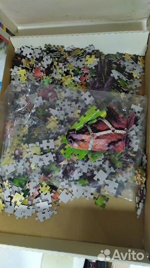 Puzzle, 1000, пазл, лошадь, конь