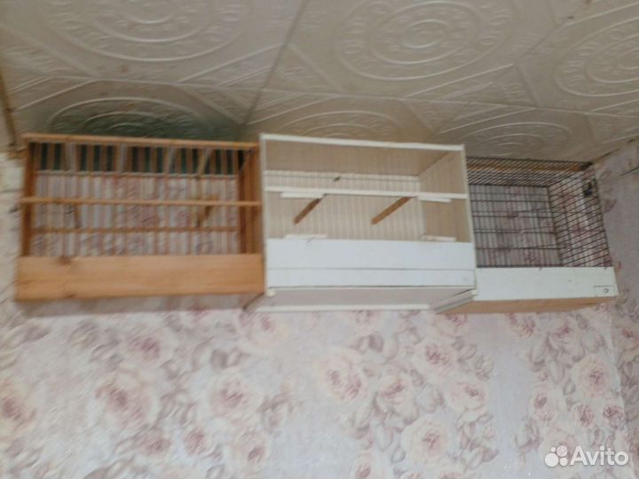 Клетки для птиц