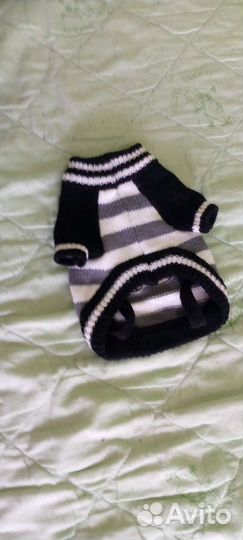 Одежда для маленьких собак