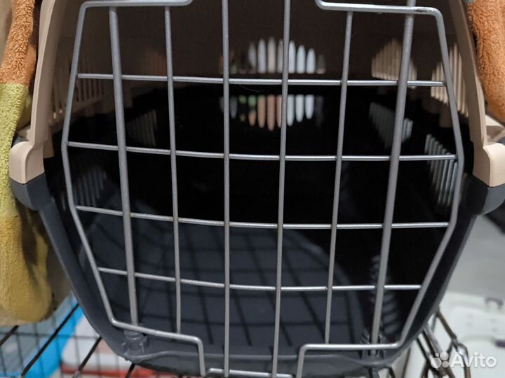 Переноска собак