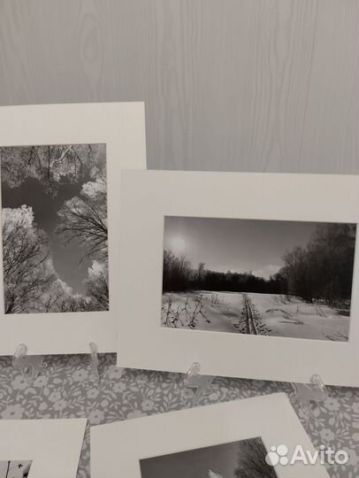 Фотографии