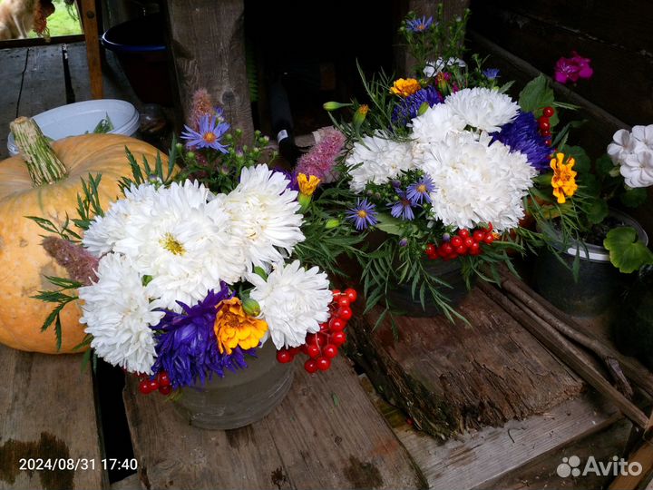 Букеты цветов гладиолусы и астры