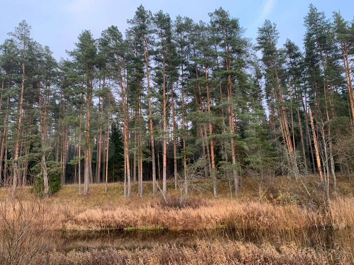 Участок 2,03 га (СНТ, ДНП)