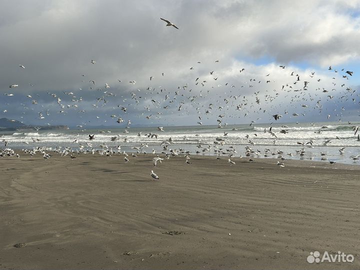 Курилы. Гид экскурсовод по Курильским островам