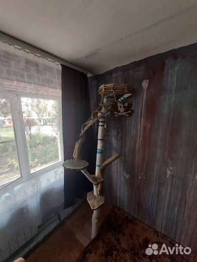 Для животных