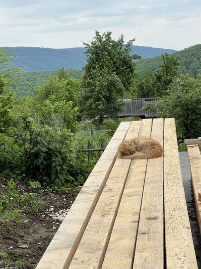 Участок 12 сот. (ИЖС)