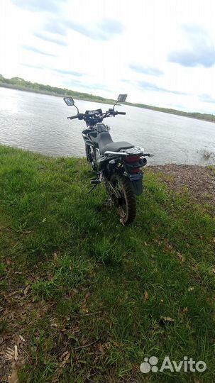Зид 250