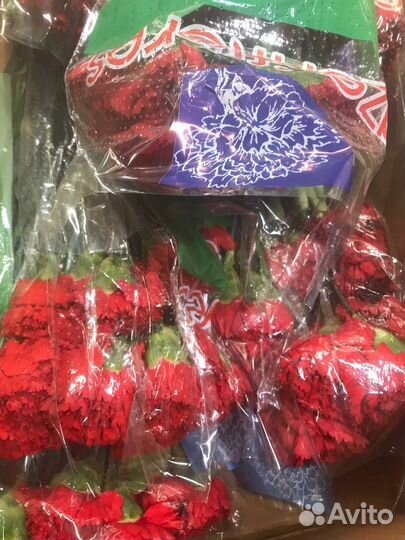 Гвоздики цветы букеты из диантуса