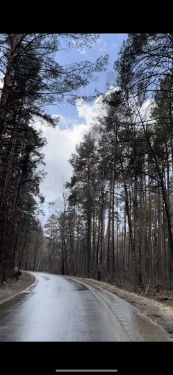 Участок 13,5 сот. (ИЖС)