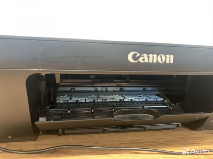 Принтер для тату, мфу canon