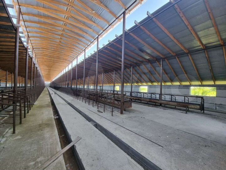 Ферма крс 26000 м²