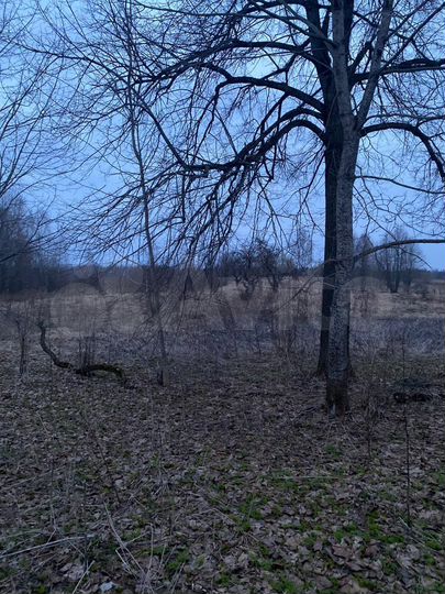 Участок 3 га (ИЖС)