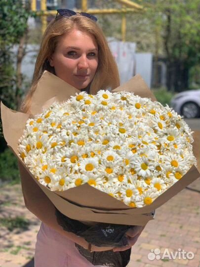 Цветы. Ромашка. Доставка цветов