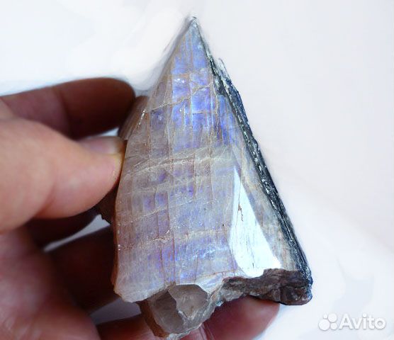 Беломорит коллекционный