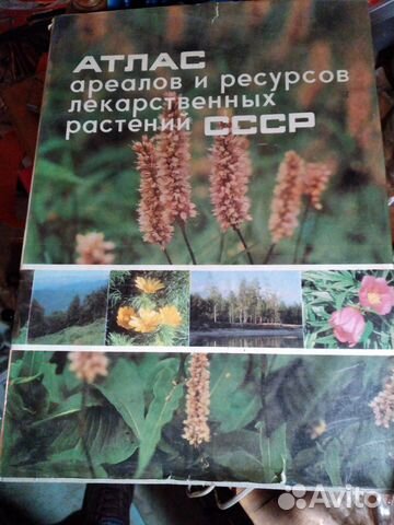 Атлас ареалов и ресурсов лекарствены растений СССР