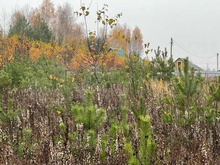 Участок 35 сот. (ИЖС)