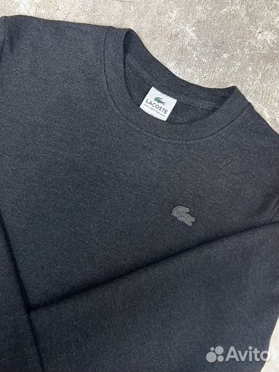 Толстовка / худи Lacoste